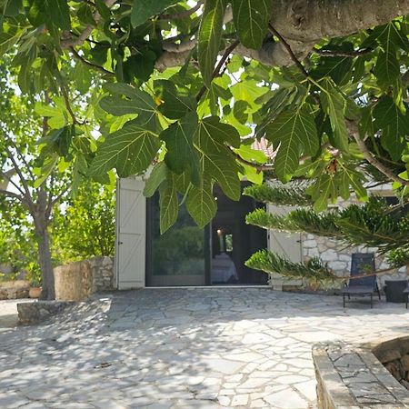 Ploes Luxury Cottages Pesadha ภายนอก รูปภาพ
