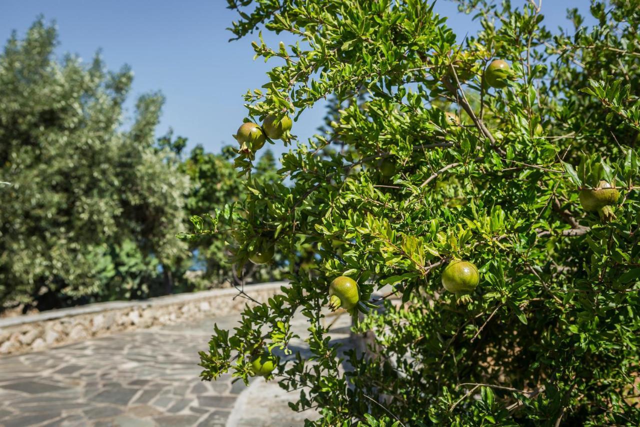 Ploes Luxury Cottages Pesadha ภายนอก รูปภาพ