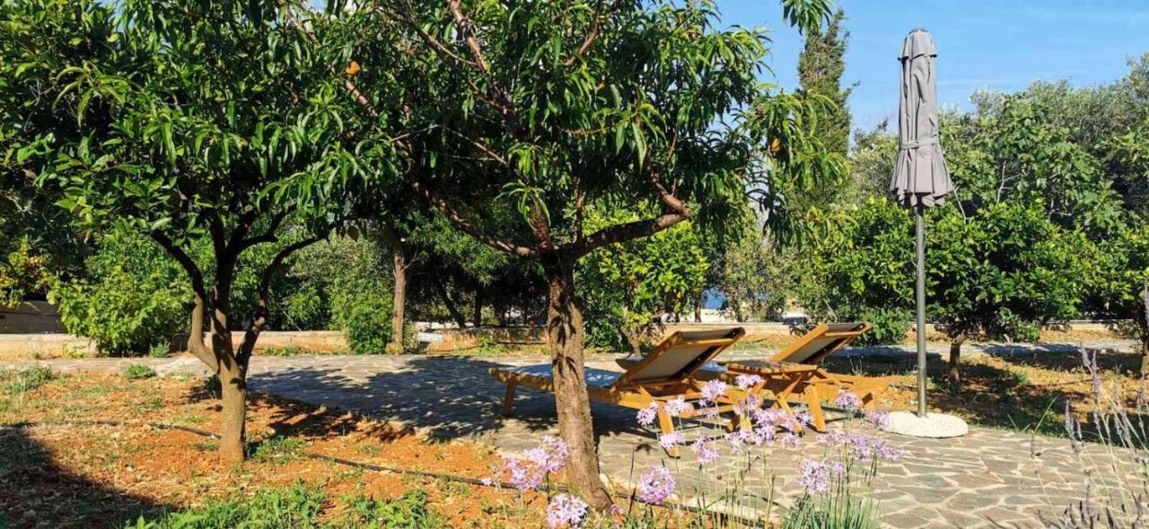 Ploes Luxury Cottages Pesadha ภายนอก รูปภาพ